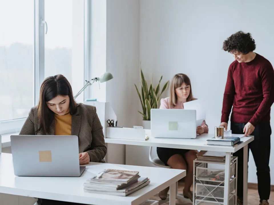 Drie collega's werken in een licht kantoor met witte bureaus, laptops en een plant